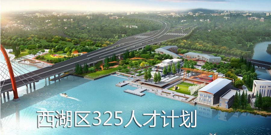 西湖区325人才计划